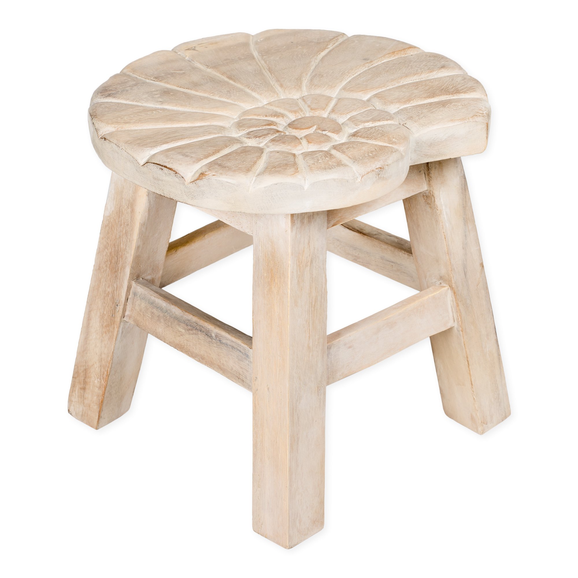 Amazon.com: Sea Island Imports Nautilus Shell Whitewash Design